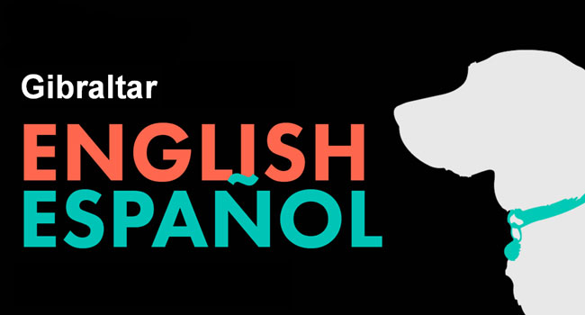 Изучение английского или испанского​ ​языка​ ​в​ ​школе​ ​иностранных​ ​языков​ ​Gibraltar: от 1 до 12 месяцев! Скидка до 62%