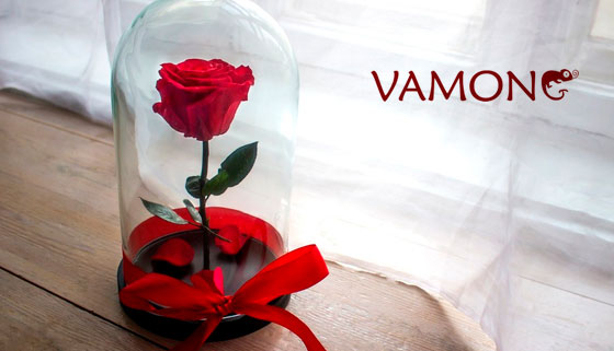 Скидка до 40% на вечную розу в колбе из сказки «Красавица и Чудовище» с гравировкой или поздравительной открыткой от компании Vamong