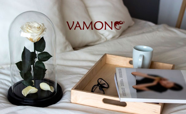 Неувядающая роза в колбе из сказки «Красавица и Чудовище» от компании Vamong со скидкой до 40%