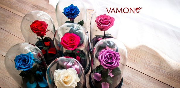 Вечная роза в колбе из сказки «Красавица и Чудовище» с гравировкой или красочной открыткой от компании Vamong. Скидка до 40%