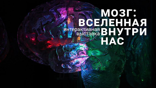 Штурмуем знания! Билеты для детей и взрослых на интерактивную выставку «Мозг: вселенная внутри нас» от Brainworkgroup!