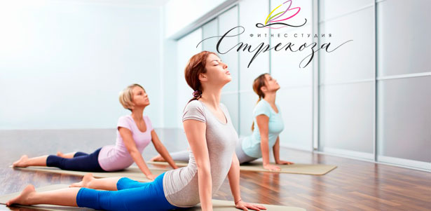 Скидка до 55% на йогу, пилатес, zumba, растяжка и другие занятия в женской фитнес-студии «Стрекоза». Скидка до 55%