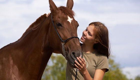 Скидка до 68% на конные прогулки для одного или двоих, фотосессию с лошадью и экскурсию по графскому имению в конном клубе «Усадьба» в Марфино