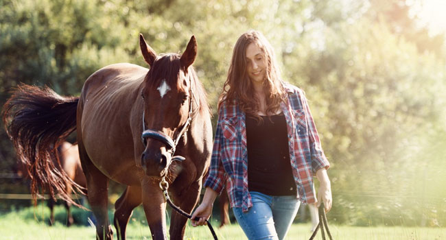 Увлекательные конные прогулки, экскурсия по графскому имению или фотосессия с лошадьми в конном клубе «Усадьба» в Марфино. Скидка до 68%