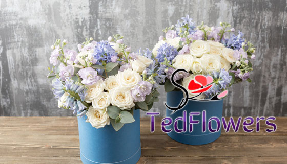 Цветочные композиции на выбор из гвоздик, тюльпанов, голландских или пионовидных роз от компании TedFlowers. Скидка 50%