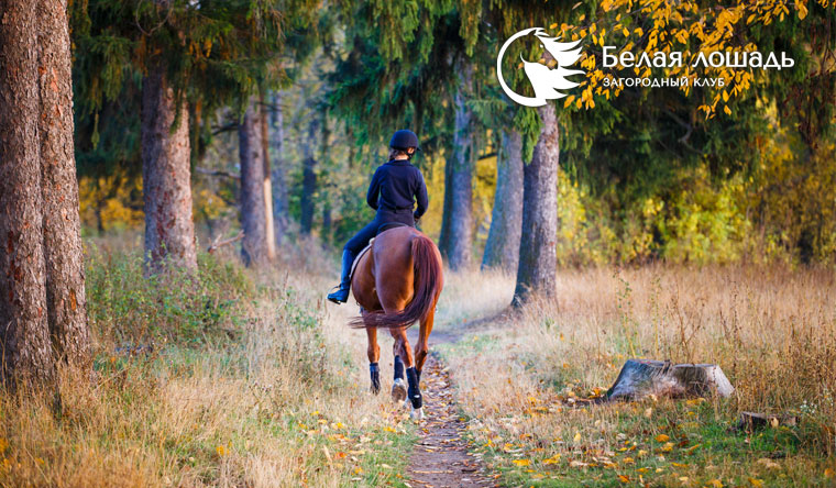 Скидка до 54% на конную прогулку или занятие по верховой езде для взрослых и детей в конноспортивном комплексе «Белая лошадь»