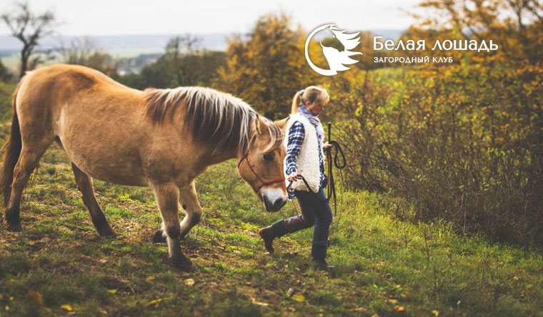 Скидка до 54% на конную прогулку или занятие по верховой езде для взрослых и детей в конноспортивном комплексе «Белая лошадь»