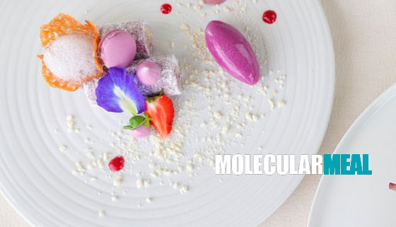 Скидка до 51% на увлекательные мастер-классы по молекулярной кухне от компании Molecularmeal