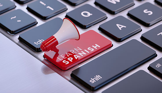 Скидка до 83% на онлайн-курсы по испанскому, английскому и китайскому языку, подготовка к ОГЭ и ЕГЭ от «Студии Шаматовой Екатерины»