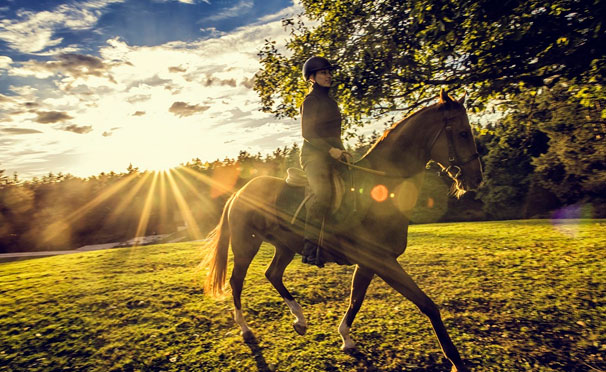 Скидка до 51% на конную прогулку с фотосессией для одного или двоих в конноспортивном клубе «Усть-Ижора»