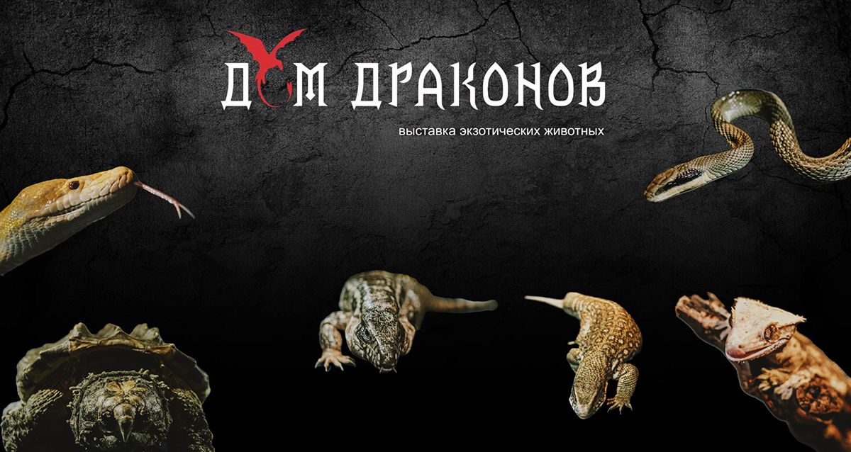 Скидки до 30% на билеты выставку экзотических животных 2 адреса! Черный варан, синеязыкий сцинк, гекконы бананоеды, эублефары, 10 сетчатых питонов разных окрасов и многие другие редчайшие рептилии